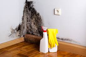 Best Biohazard Mold Removal  in Charleston, MO